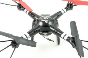 KX958446946